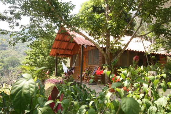 At a bend in the Macal River, in the Mayan Mountains of Belize, Black Rock Lodge is an off-the-grid rainforest resort with 13 cabins. A restaurant on site serves organic fruits grown on the property, and all water is supplied by a nearby mountain spring.